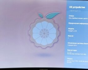 Orange Pi 3 LTS 2GB de Ram, 8GB eMMC c/ Wifi + Bluetooth photo review